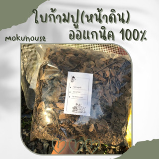 🔥ใบก้ามปู(หน้าดิน) 🌿ออแกนิค 100%