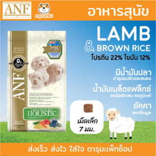 แกะ เม็ดเล็ก *ลดคราบน้ำตา แพ้ง่าย เนื้อแกะ* ANF Holistic อาหารสุนัข สูตร Lamb &amp; Rice ขนาด 6 kg เม็ดเล็ก