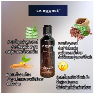 แชมพู ดีท็อกซ์ สูตรกาแฟ ลาบูสส์ LA BOURSE HAIR DETOX SHAMPOO 250 มล. ลาบูสส์ แชมพู ดีท็อกซ์ สูตรกาแฟ 250 มล.