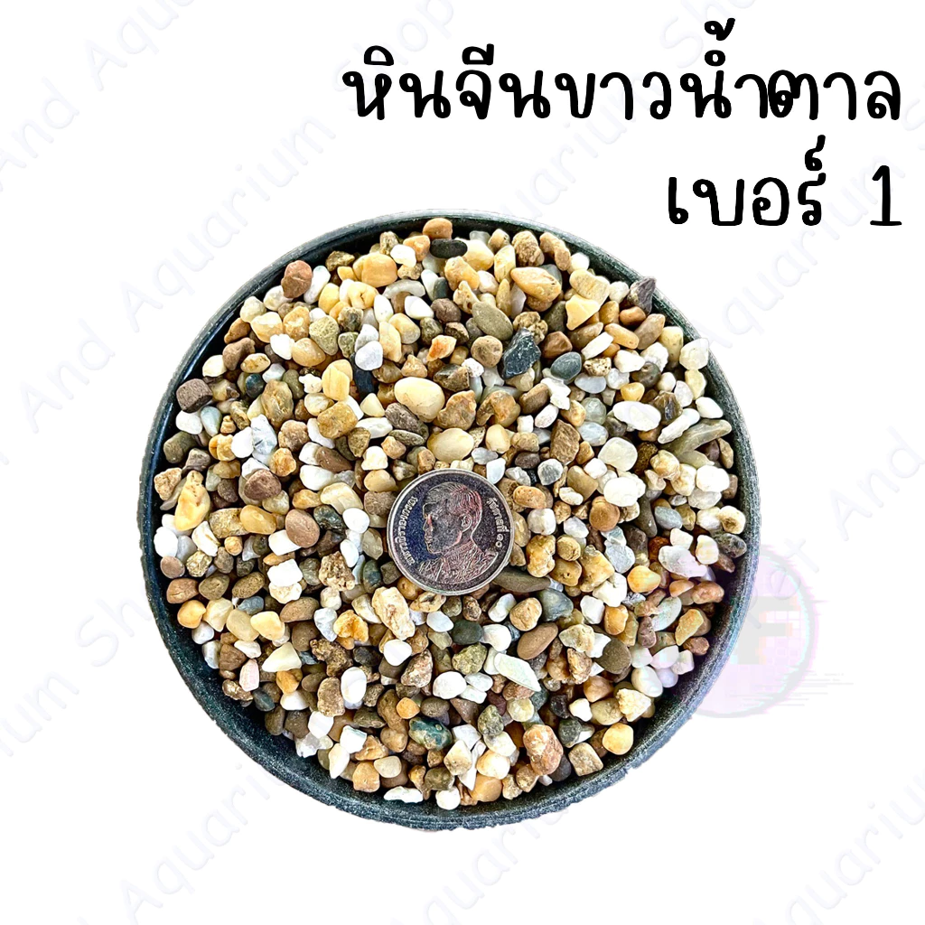 หินจีนขาวน้ำตาล หินตกแต่งตู้ปลา หินโรยหน้ากระถ่างต้นไม้  1 กิโล 20 thumbnail 3