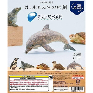 พร้อมส่ง ของแท้ 🇯🇵 กาชาปอง enoshima aquarium