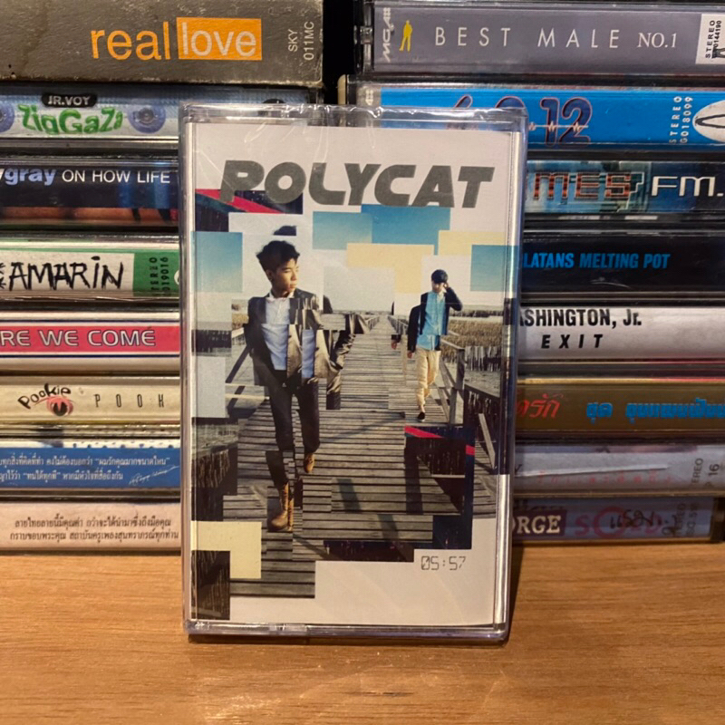 Cassette Tape เทปเพลงไทย POLYCAT - 05:57 (0086)