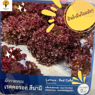 เมล็ด ผักกาดหอม เรดคอรอลสึนามิ ( Lettuce : Red Coral )