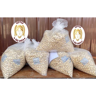 แมคคาเดเมีย ราคาส่ง มะคาเดเมีย macadamia
