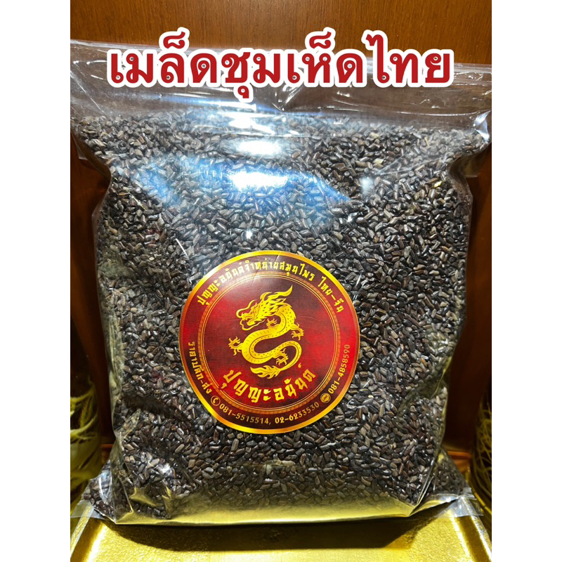 เมล็ดชุมเห็ดไทย เม็ดชุมเห็ด สมุนไพรเมล็ดชุมเห็ด บรรจุ1โลราคา150บาท