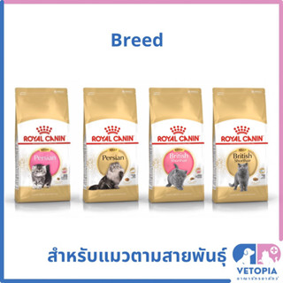 Royal Canin อาหารแมว 4 kg สูตร kitten persian, Persian, kitten british, british short hair