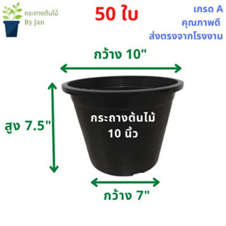 กระถางต้นไม้ 10 นิ้ว (50 ใบ)