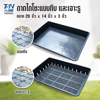 ถาดไดโซะแบบ ทึบ และ เจาะรู ถาดเพาะเมล็ด แยกกล้า ชำหน่อ กว้าง20x ยาว14xสูง3นิ้ว ถาดปลูกต้นไม้TMN_Hubs