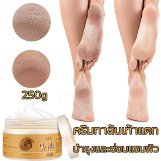 250g ครีมทาเท้า ประกอบด้วยสารบำรุงผิว ส้นเท้าแตก น้ำมันม้า ครีมบำรุงเท้า แลมือ ขัดผิวหนัง ครีมทาเท้าแตก รักษาเท้าคัน