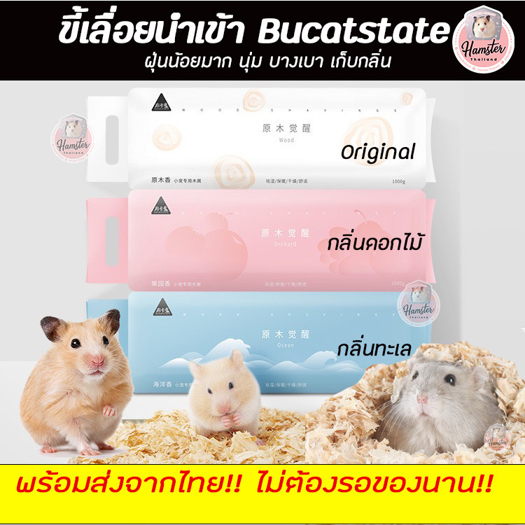 [Hamsterth] ขี้เลื่อยนำเข้าBucatstateขี้เลื่อยแฮมเตขี้เลื่อยคุณภาพรองกรงสัตว์เลี้ยงขี้เลื่อยดับกลิ่น