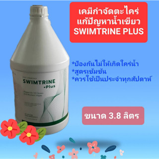 น้ำยากำจัดตะไคร่น้ำเขียว Swim Trine Plus