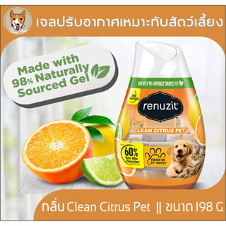 Renuzit Clean Citrus Pet รีนูซิต เจลปรับอากาศกลิ่นส้มมะนาวเหมาะสำหรับสัตว์เลี้ยง หมา แมว กระต่าย ปลอดภัย ขนาด 198 กรัม