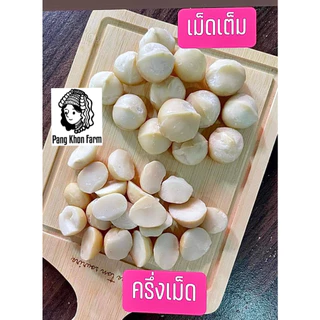 แมคคาเดเมีย อบใหม่ เมล็ดเต็ม มะคาเดเมีย macadamia