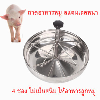 ถาดอาหารหมู สแตนเลสหนา รางให้อาหารลูกหมู รางสแตนเลสให้อาหารลูกหมู ชามหมู ไม่เป็นสนิม ทนนาน