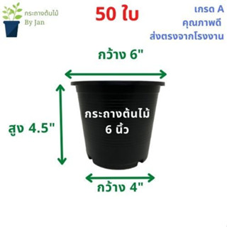 กระถางต้นไม้ 6 นิ้ว (50 ใบ)