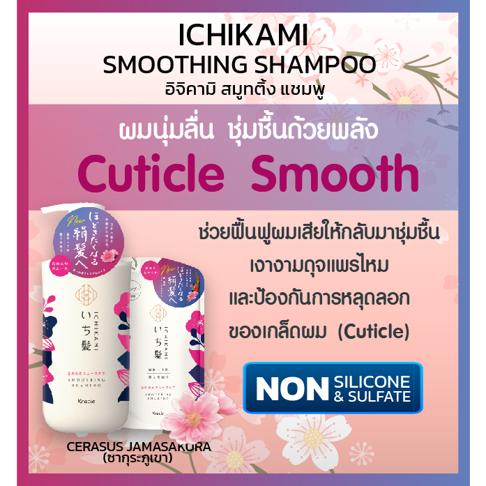 ICHIKAMI SMOOTHING SHAMPOO 480 ml / แชมพูทำความสะอาดเส้นผม และหนังศีรษะ สูตรเพื่อผมนุ่มลื่น หอมกลิ่นซากุระ - รูปที่ 2