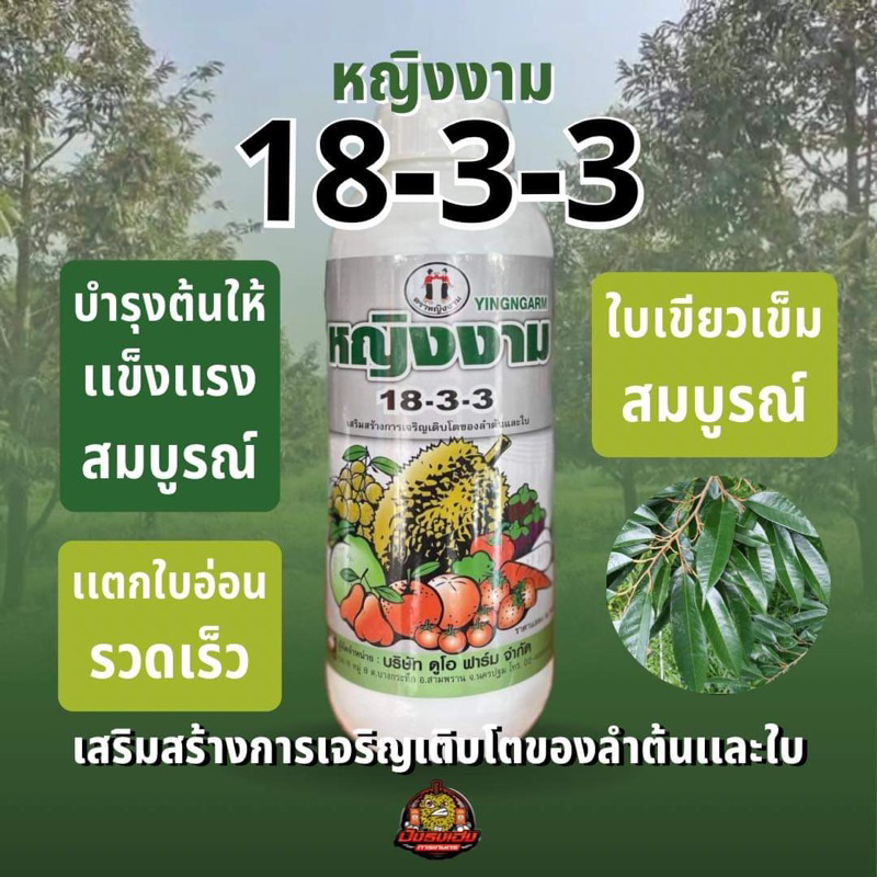 18-3-3 ตราหญิงงาม ปุ๋ยน้ำฟอสเฟต pH7.5 ใบเขียวเข้มสมบูรณ์ ขยายใบ เพิ่มการแตกอ่อน