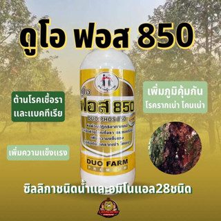 ดูโอฟอส850 ตราหญิงงาม ซิลลิกาชนิดน้ำและอมิโนแอล28ชนิด ต้าทานโรคเชื้อราและแบคทีเรีย โรครากเน่าโคนเน่า