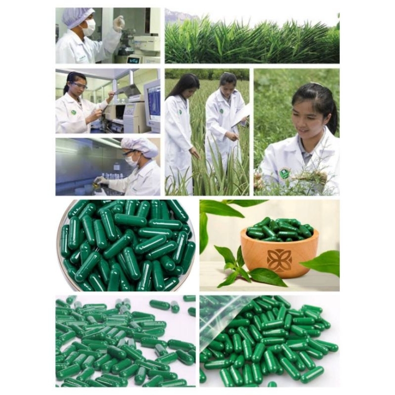 เขียวนาโน  แคปซูล อาหารพืชราคาส่ง - รูปที่ 6