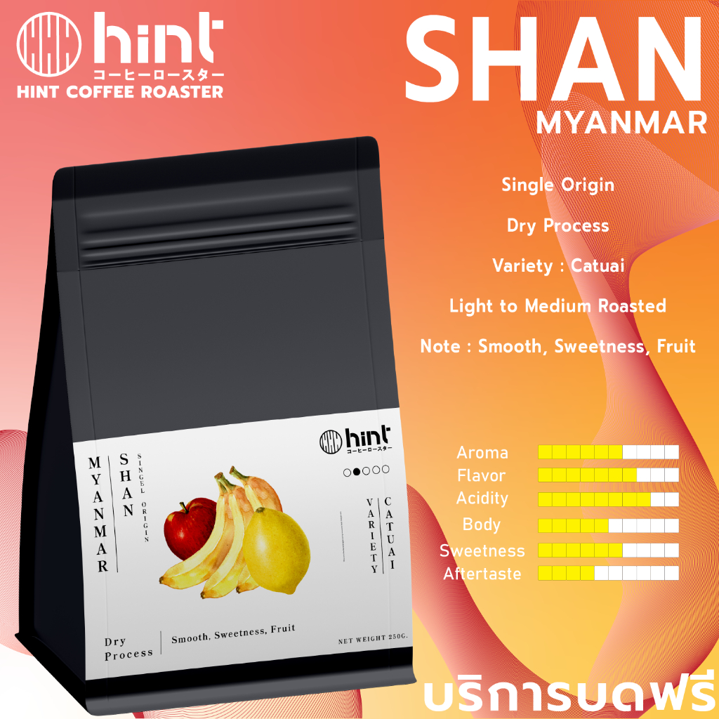 เมล็ดกาแฟคั่ว Myanmar Shan Dry  คั่วอ่อน (Light To Medium Roast) Hint Coffee Roaster