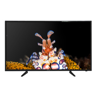 ทีวี 50 นิ้ว Skyvision LED TV Full HD รุ่น ETV-5002 [ประกัน 1 ปี]