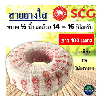 สายยางใส SCG ขนาด 1/2นิ้ว (4หุล) มีความยาว 100เมตร (ขายยกม้วน) สายยางรดน้ำต้นไม้ สายยางเอสซีจี สายยางคุณภาพเกรดA