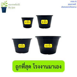 กระถางต้นไม้ พลาสติกสีดำ ขนาด 4 -17 นิ้ว กระถางปลูกบอน แคนตัส