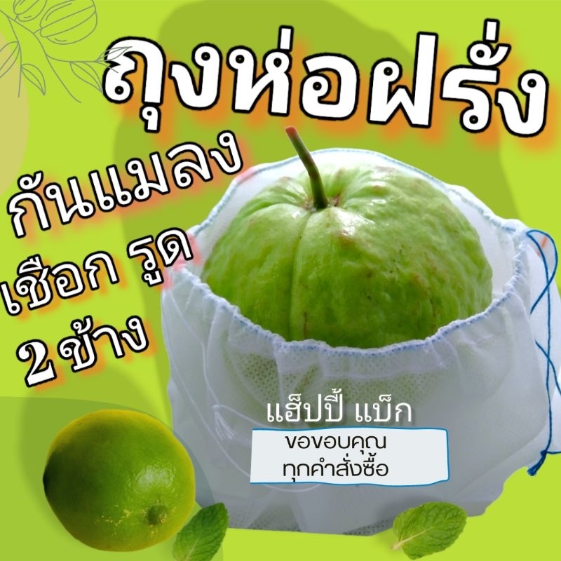 (6*7นิ้ว​ ​ชุด20ใบ)​ ห่อฝรั่ง กระท้อน น้อยหน่า อะบิว อะโวคาโด้ ชมพู่