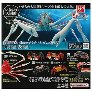 🦀กาชาปองญี่ปุ่น🦀 BANDAI GACHA CRAB 02 โมเดลสัตว์ โมเดลปู ของแท้