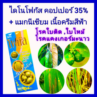 คอปเปอร์ คอปเปอร์น้ำ น้ำครีมสีฟ้า ไดโนโฟกัส 1ลิตร กำจัดเชื้อรา แบคทีเรีย โรคใบติด ใบไหม้ ใบจุดสาหร่าย โรคแคงเกอร์