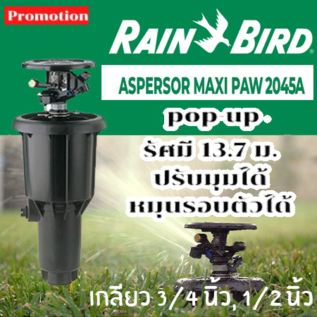 Rain Bird หัวป๊อบอัพฝังดิน Pop-up แบบตีน้ำ Rain Bird USA Maxi Paw 2045A เกลียว 3/4 นิ้ว, 1/2 นิ้ว ขอ