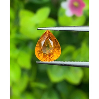 พลอย บุษราคัม Yellow Sapphire 1.64 กะรัต (Cts.)