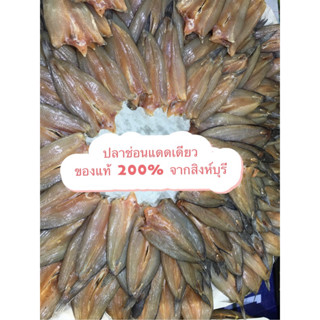 ปลาช่อนแดดเดียว จากสิงห์บุรีของแท้ 100% ไม่มีก้างกลาง ลูกค้าสามารถแชทบอกแม่ค้าเลือกขนาดปลาช่อนได้นะคะ