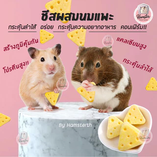 [Hamsterthailand] ชีส กระตุ้นความอยากอาหาร‼️ชีสผสมนมแพะ ขนมแฮมสเตอร์ สัตว์เลี้ยงรบกวนขั้นต่ำ50บาท