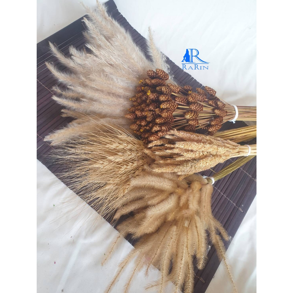 พร้อมส่ง จากไทย Set คุมโทน 5 ชนิด (โทนสีธรรมชาติ)  ใช้กับงานประดับ ตกแต่ง  แบร็คดร๊อปถ่ายรูป