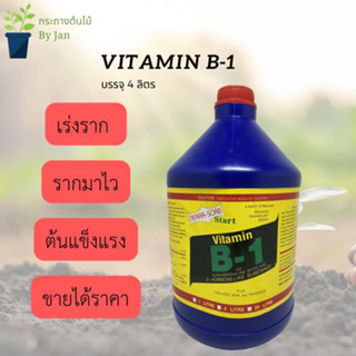 Vitamnin B1 วิตามิน บี 1 เร่งราก สำหรับกิ่งตอน ปักชำ เพาะเมล็ด คุณภาพดี ราคาถูก ขนาด 4 ลิตร