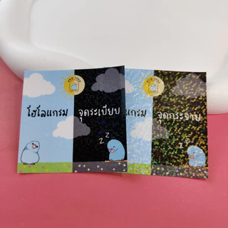 แพ็คประหยัดA4 10ใบ ฟิล์มเคลือบเย็น กลิตเตอร์/โฮโลแกรม/ผิวด้าน/ใส/พิเศษ