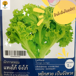 เมล็ด ผักกาดหอม แทงโก้ จังโก้ ( Lettuce Tango Jungo)