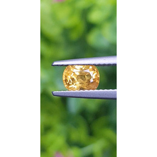 พลอย บุษราคัม yellow sapphire 1.05 กะรัต (Cts.)