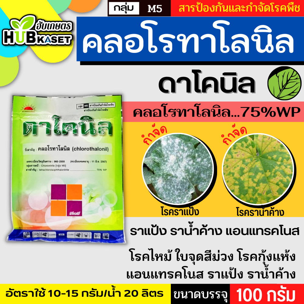 ดาโคนิล 100กรัม ป้องกันกำจัดโรคราน้ำค้างในคะน้าที่มีสาเหตุจากเชื้อรา