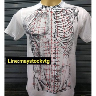 เสื้อลายกระดูกวินเทจกล้ามเนื้อAnatomy