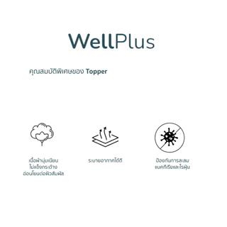 WellPlus Topper Conjugated Siliconized Fiber รุ่น ZPlus O2 หนา 4 นิ้ว ท็อปเปอร์สุขภาพ ที่นอน
