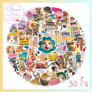 Sticker cat 417 🐈 🐱สติ๊กเกอร์รูปแมว ไดคัท 50ชิ้น กันน้ำ สีสวยคมชัด ตกแต่ง DIY สติ้กเกอร์ติด ของใช้แมว สติกเกอร์ลายหมาแมว