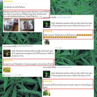 ปุ๋ยเร่งดอก ทำใบ Nutrients solution 420 สูตรทำใบ สูตรทำดอกและสูตรทำดอกใหญ่ ขนาด1000 ml