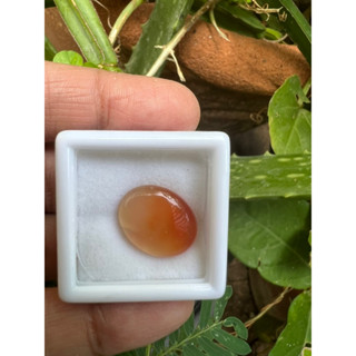 Natural Agate 1 pieces 6.40 carats size 12x16mm