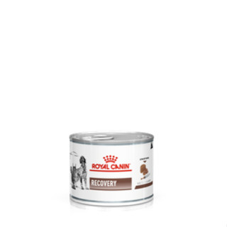 Royal Canin Recovery อาหารกระป๋องสำหรับสัตว์พักฟื้น​ 195​g.