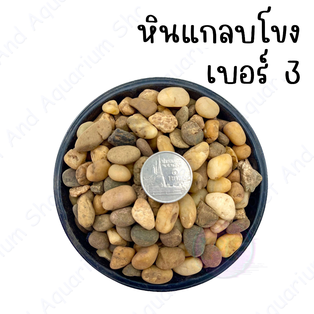 หินแกลบโขง หินตกแต่งตู้ปลา หินโรยหน้ากระถ่างต้นไม้  1 กิโล 20