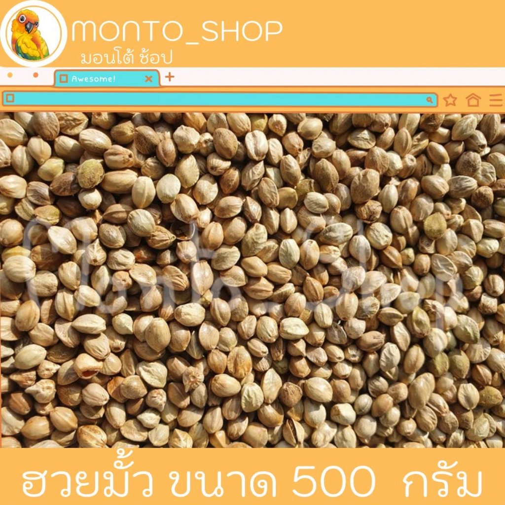 อาหารนก เมล็ดฮวยมั้ว มี2แบบ เล็ก / กลาง แบ่งแพ็ค 500g.