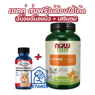 [ เซตคู่ ส่งฟรี ] พร้อมส่ง วิตามินสำหรับแมวเป็นฉี่บ่อย ฉี่น้อย นิ่ว + เสริมภูมิคุ้มกันแบบผง Exp.01/24