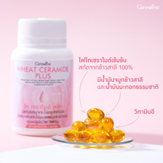 วีท เซราไมด์ พลัส กิฟฟารีน Wheat Ceramide Plus Giffarine ผิวแห้ง ปัญหาริ้วรอย ผู้ที่ต้องการดูแลผิวเป็นพิเศษ ขนาด 30 เม็ด